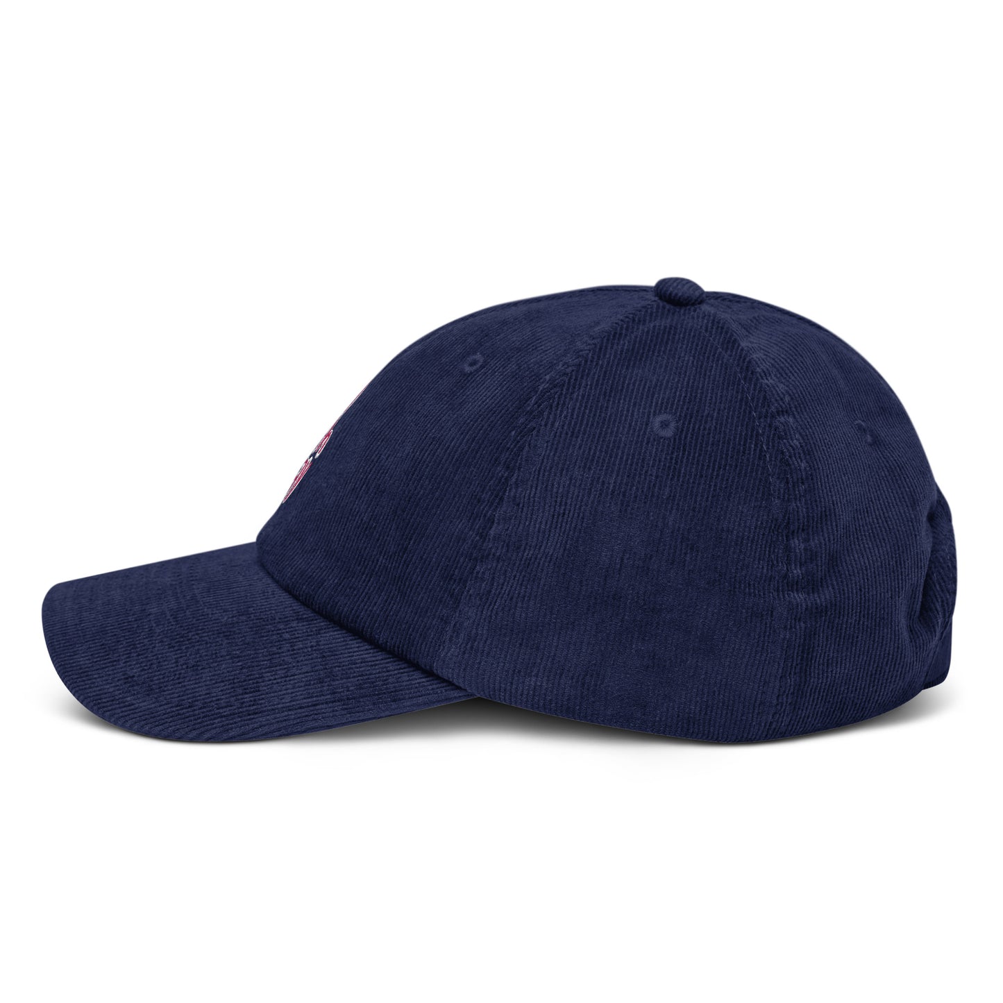 Stay with Clay Cord Cap